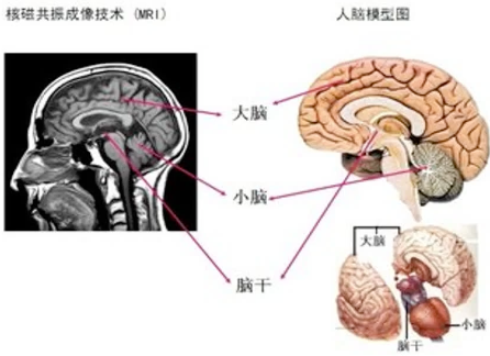 95659c147ba2154587341de714f68e19.png 95659c147ba2154587341de714f68e19.png